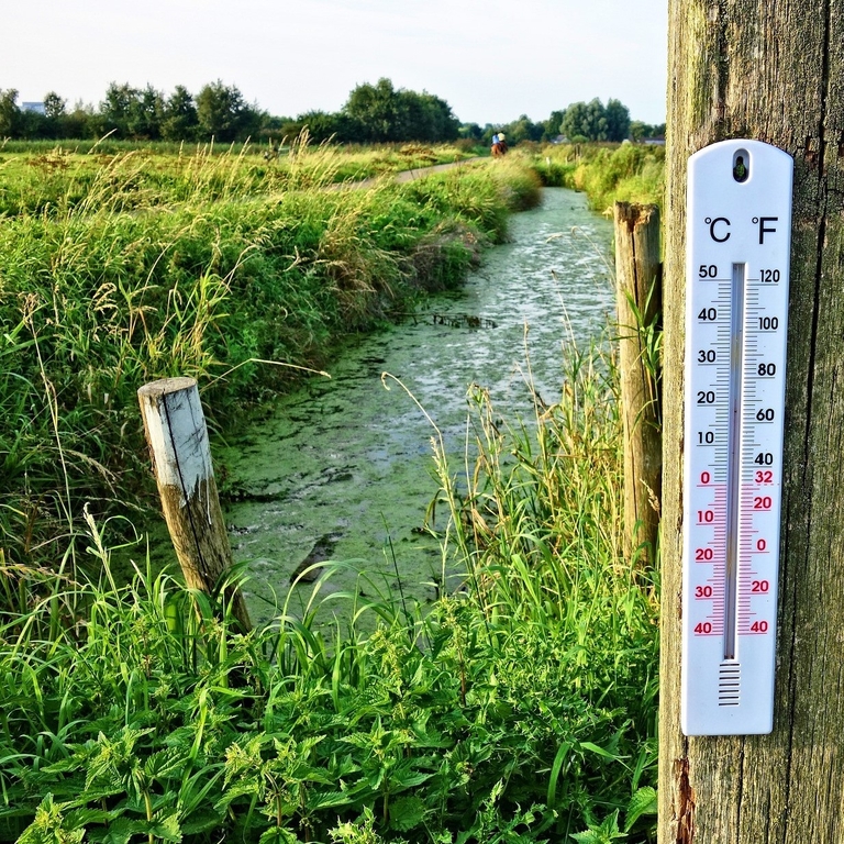 Changes in the thermal regime of rivers with different sizes and levels of human impact based on daily data (1961-2020)
