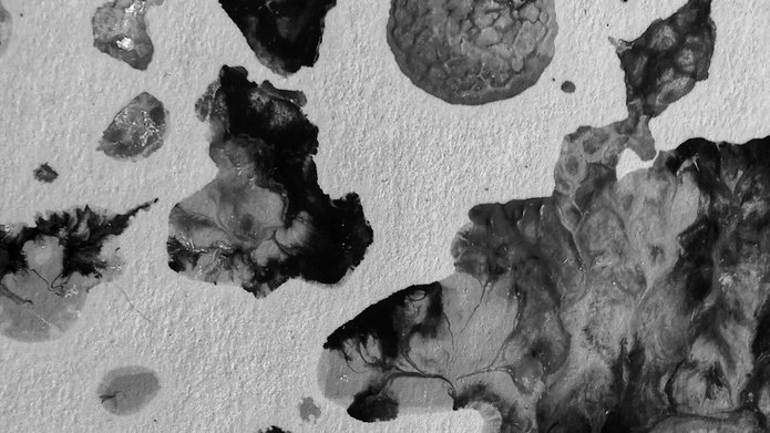 abstrakcyjne plany w czerni, bieli i szarości