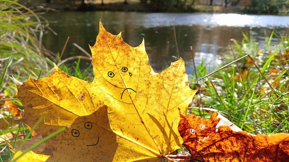 Zdjęcie liści jesiennych z grafikami przedstawiającymi emocje radości, smutku, lęku