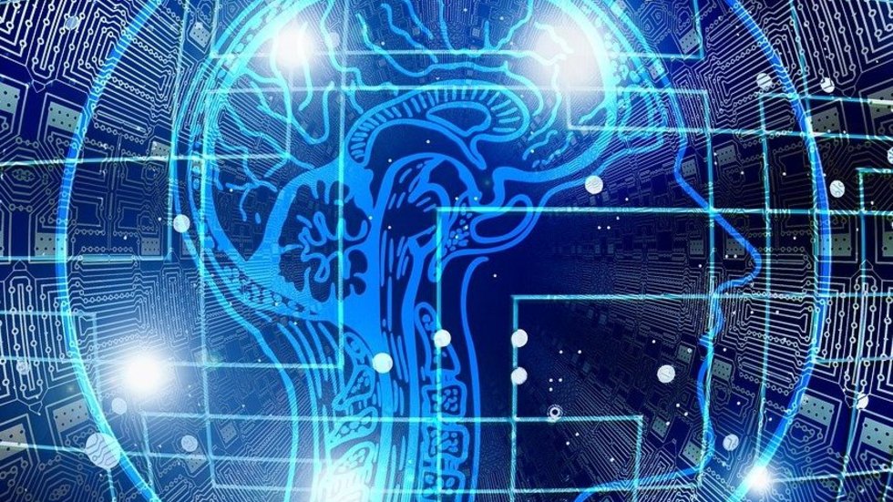 Wizualizacja człowieka, mózgu