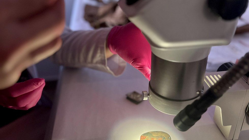 archeolog z UŁ podczas badania próbek pod mikroskopem