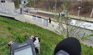 zdjęcie z nagrań terenowych zdjęcie z nagrań terenowych