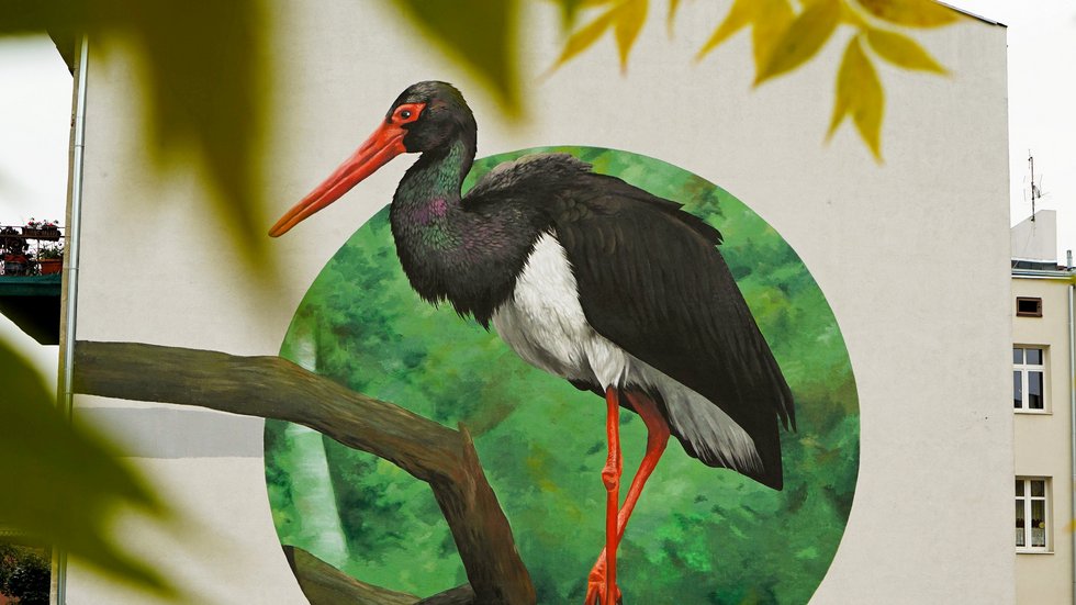 Mural z bocianem czarnym