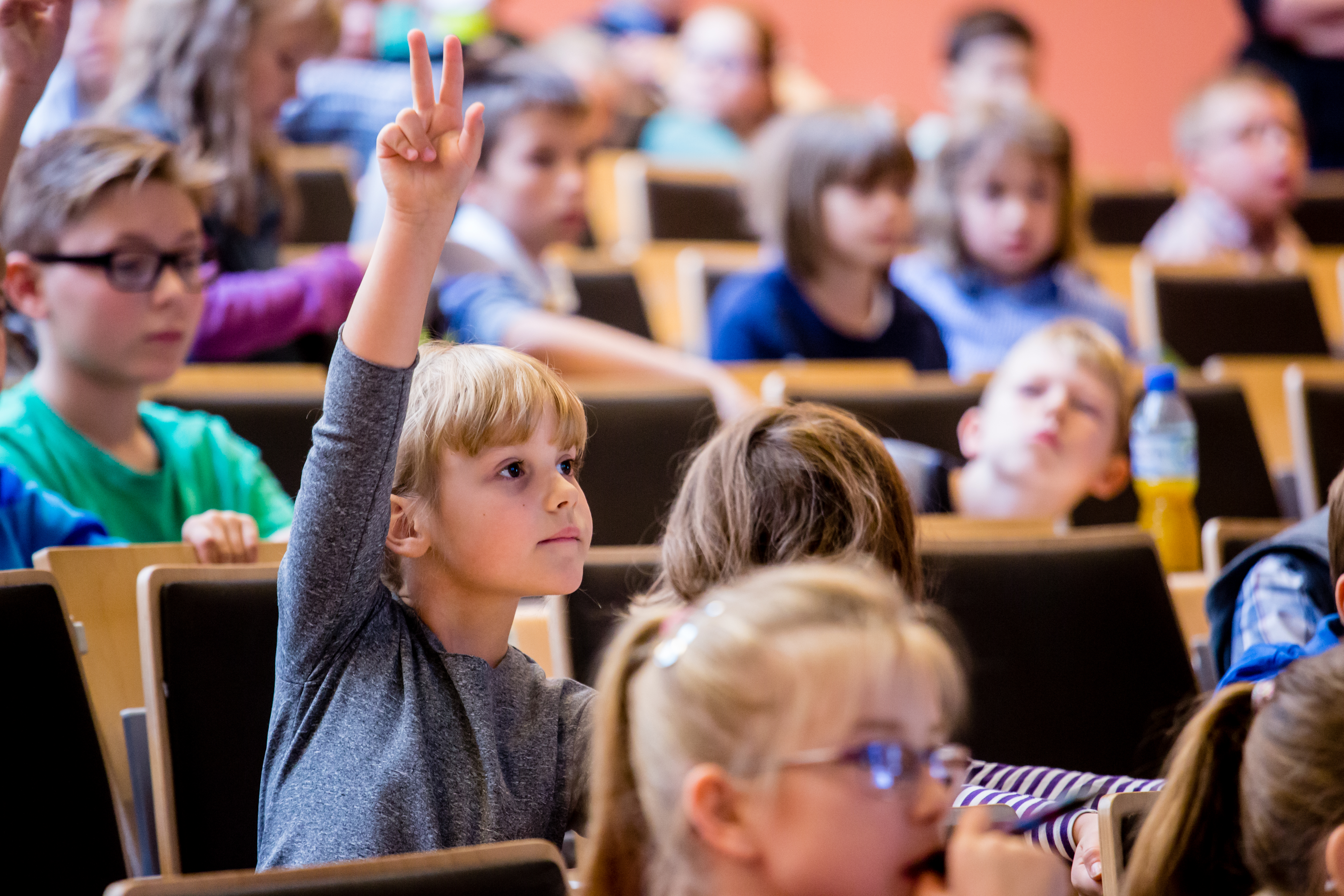 Classes as part of UŁDD project